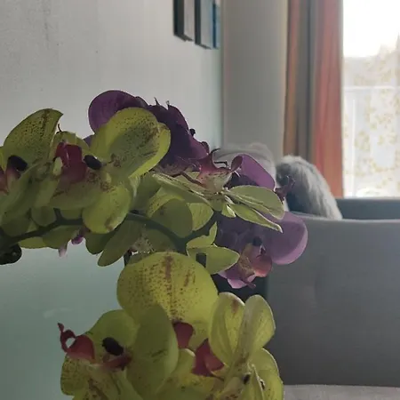 Domar Apartament Wrocław Zewnętrze zdjęcie